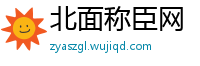 北面称臣网